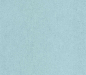 Обои Casadeco Cotton Touch COTO82386375